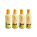4Pack Forever Aloe Mango – Produkt #8364